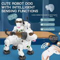 RC Multi-functional Lucky Robot Dog With Smoke