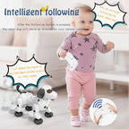 RC Multi-functional Lucky Robot Dog With Smoke